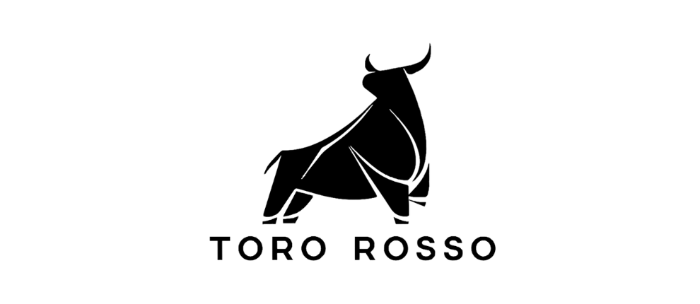 Toro Rosso PV